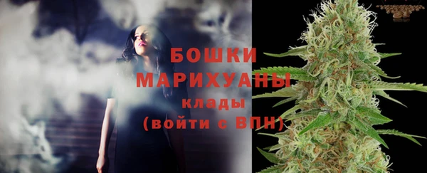 винт Осинники
