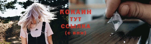 винт Осинники