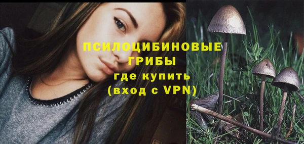 прущая мука Осташков