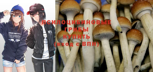 винт Осинники